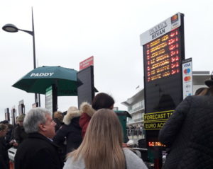bookies at cheltenham