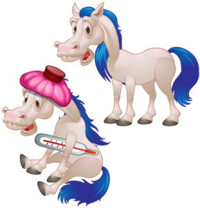 sick horse