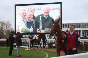 horse being paraded before festival race