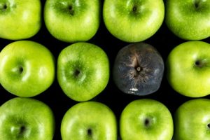 bad apple