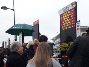 bookies-at-cheltenham