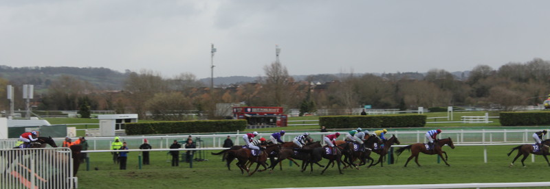 last-place-horse-jumps-cheltenham-fence-as-main-group-runs-on