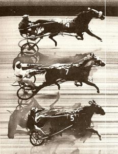 triple dead heat in harness racing