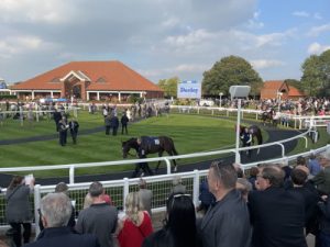 parade ring at newmarket racecourse