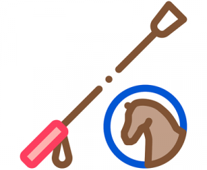 horse whip icon