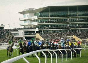 horses ready for starting orders in large cheltenham fesival handicap