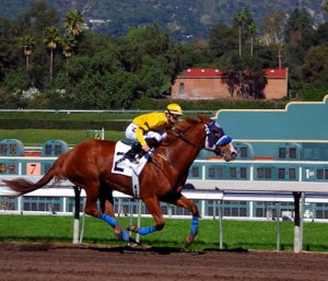 horse running on its own