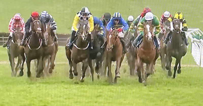 tightly group cheltenham runners