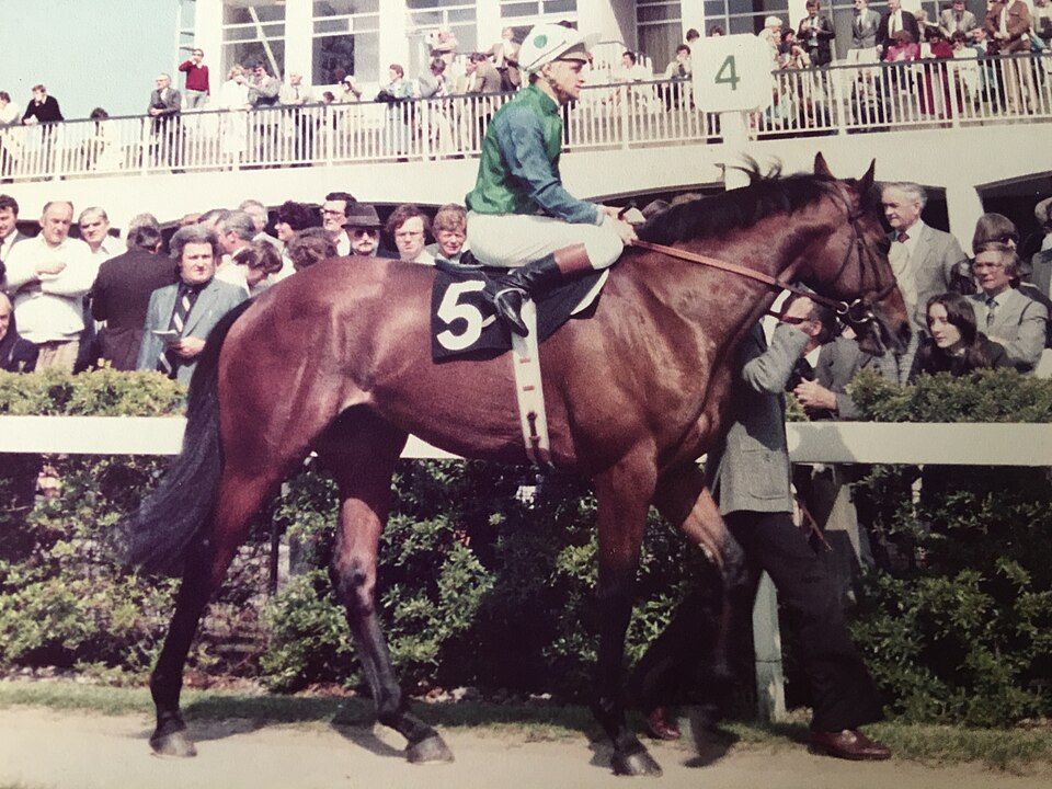 Golden Fleece and Pat Eddery