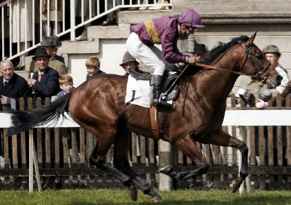 joe mercer jockey on horse