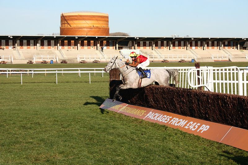 horse jumping fence at newbury racecourse